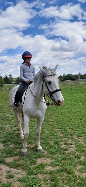 BateSaua - Cursuri de initiere in stiinta si tehnica pedalatului si calaritului