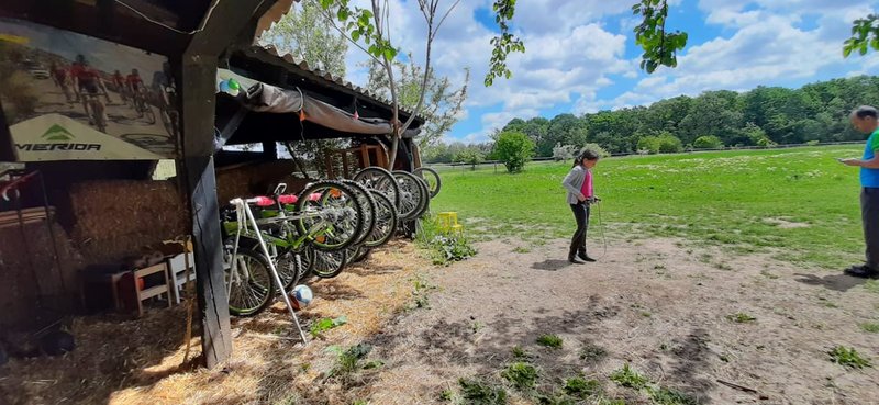 BateSaua - Cursuri de initiere in stiinta si tehnica pedalatului si calaritului